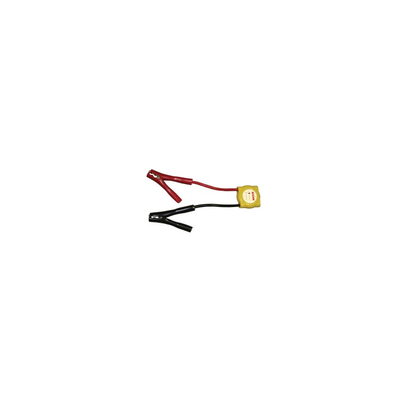 PROTECTOR DE PICOS 12V